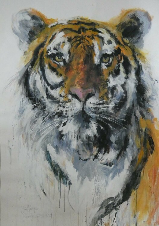 retratos ilustres nº 31 juan angel saiz manrique