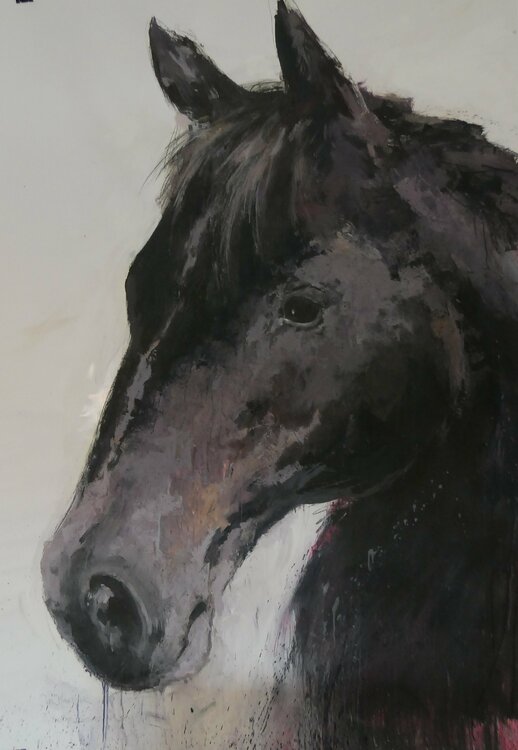 retratos ilustres nº 52 juan angel saiz manrique