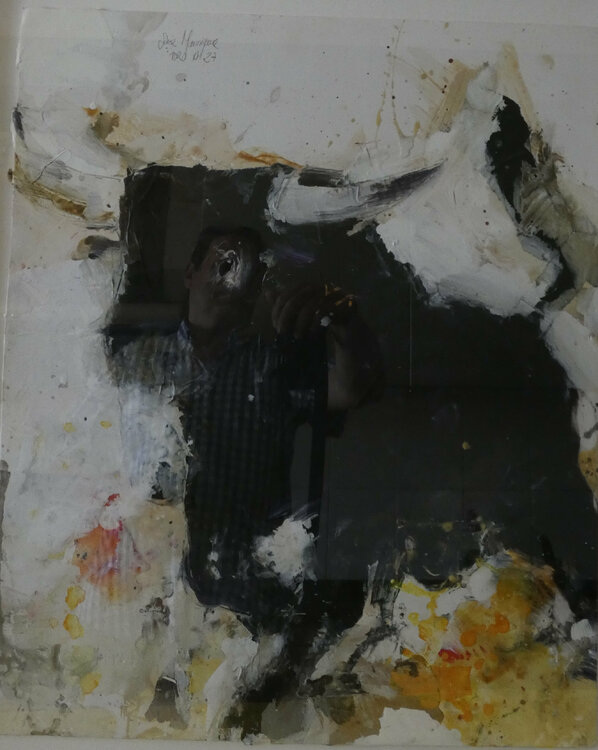 toro nº 27 juan angel saiz manrique