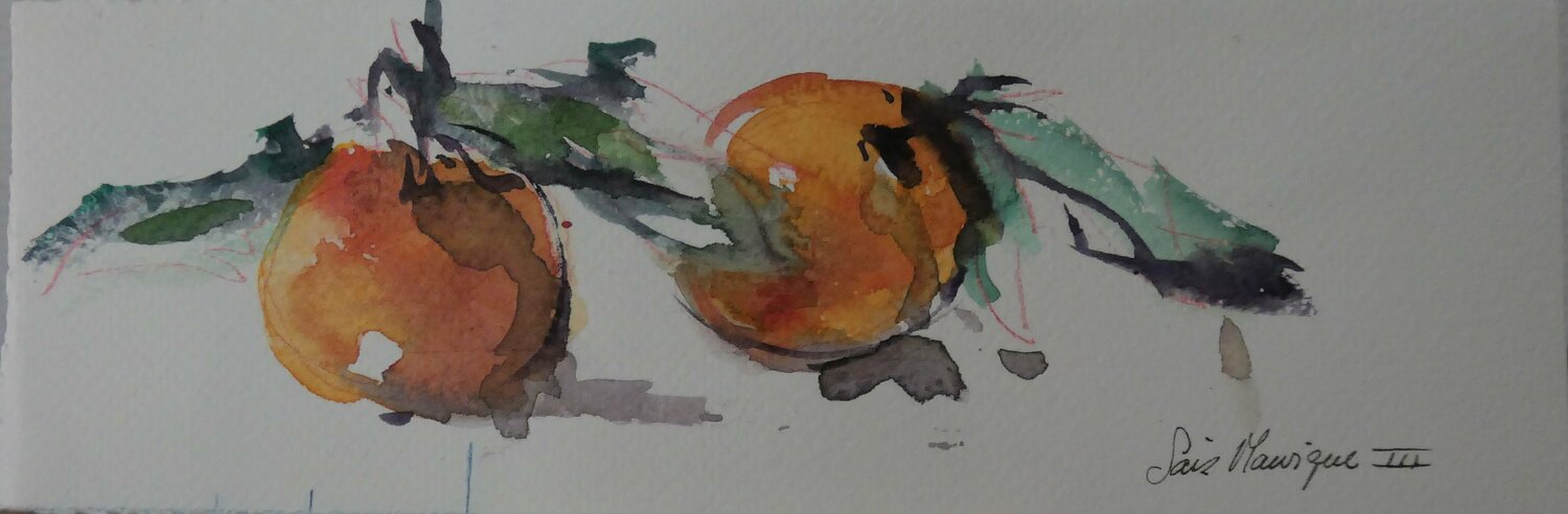 mandarinas juan angel saiz manrique