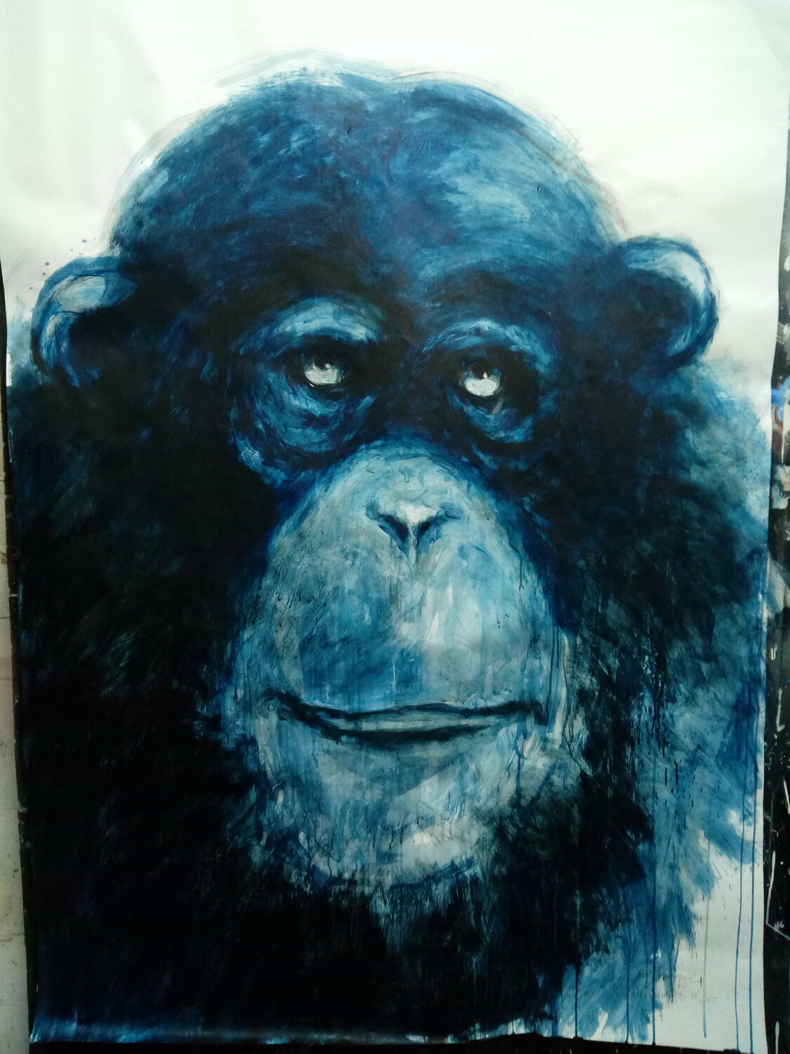 retratos ilustres nº 36 juan angel saiz manrique Werk auf Papier zu verkaufen