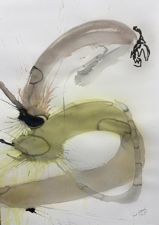 Dialogue_66 Farid Izemmour