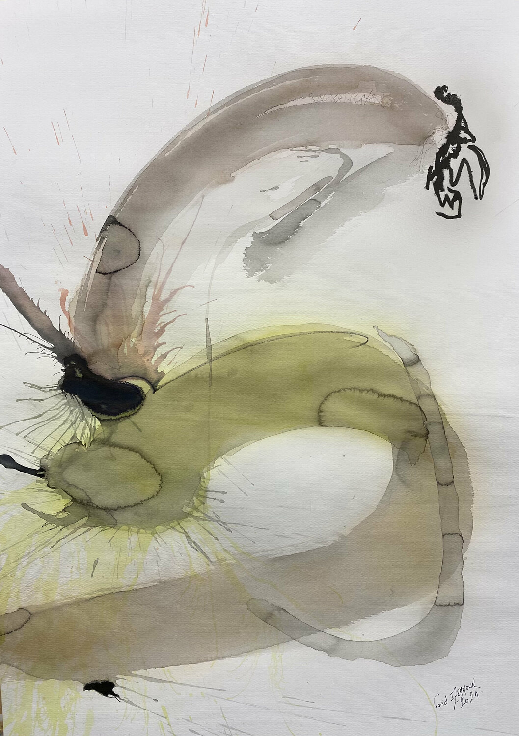 Dialogue_66 Farid Izemmour