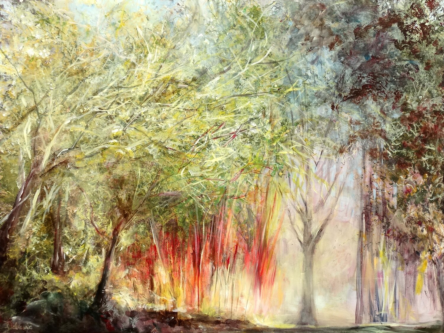 Scarlet Sunlight Kasia Kaldowski