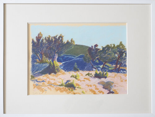 Le champ d'olivier à Tourtour Cécile Guth