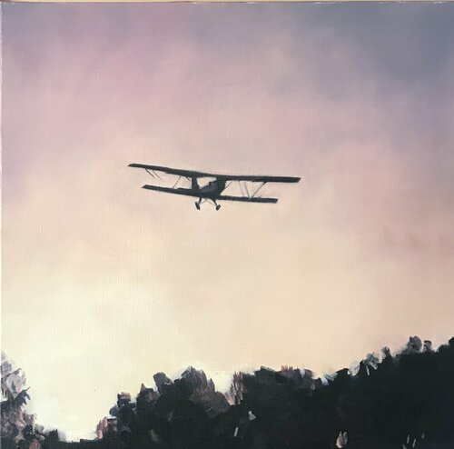 Parti pour un vol de nuit par Cécile Guth, Peinture en vente sur Singulart