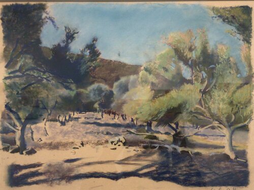 Les oliviers Cécile Guth