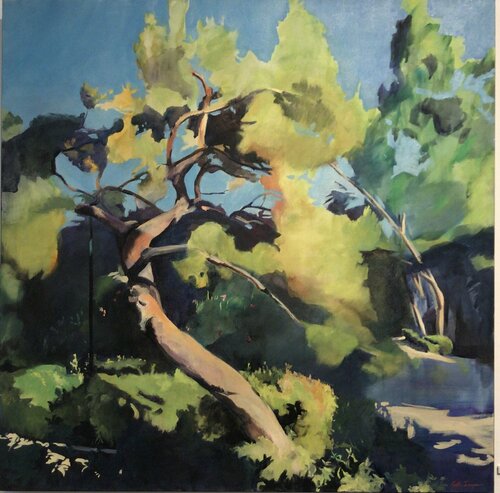 L'accrocheur de lumière Cécile Guth