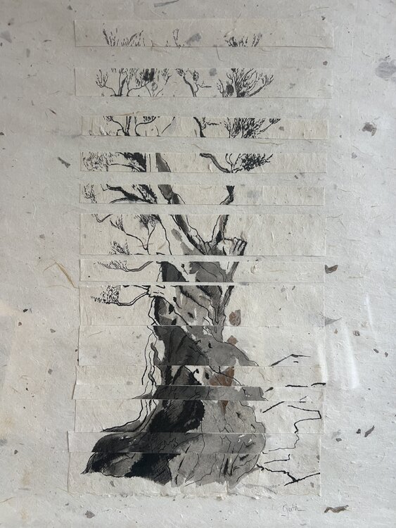 Diffraction III Cécile Guth
