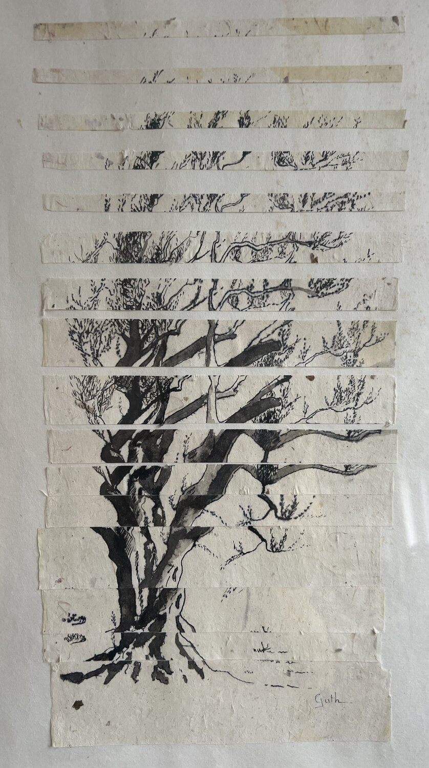 Diffraction II Cécile Guth