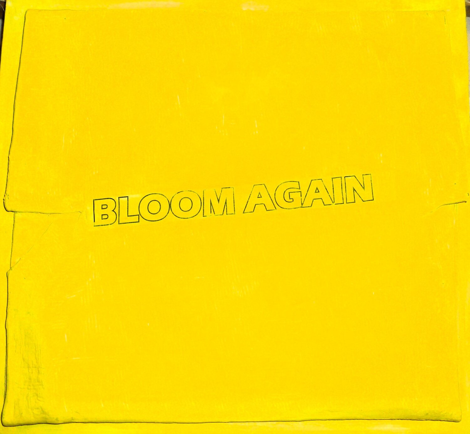 Bloom again in  yellow Giuseppe Zumbolo