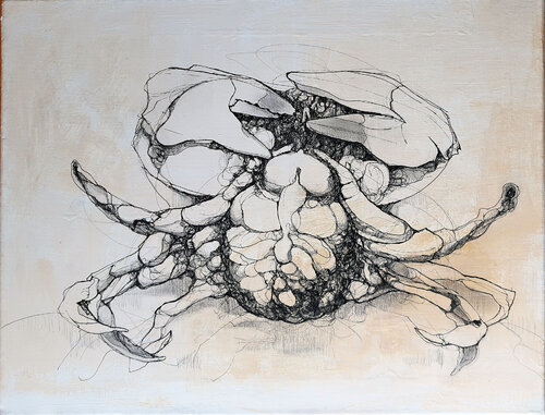 crab par Jörg Kuplens, Dessin en vente sur Singulart