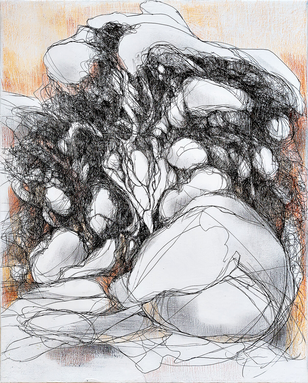 Nature releases - Whispering Rocks Jörg Kuplens Zeichnungen zu verkaufen