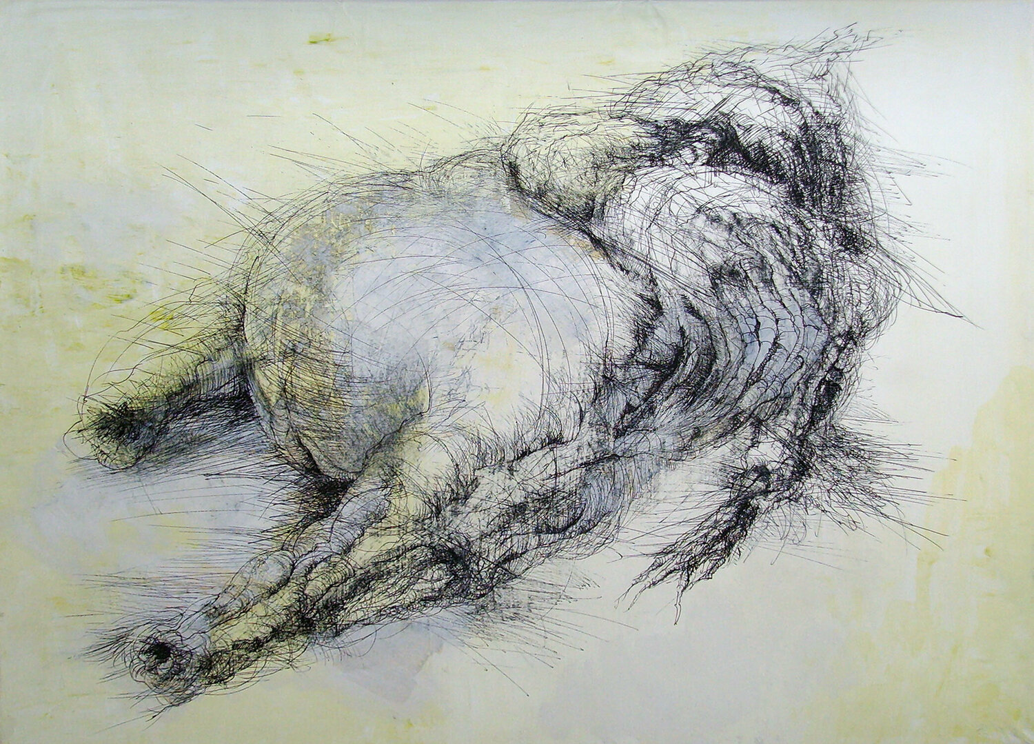 meat Jörg Kuplens