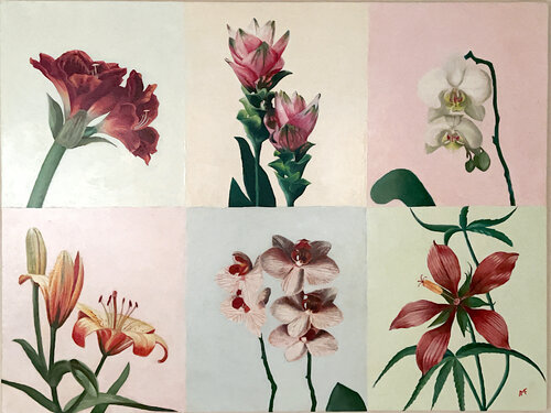 Herbier 1 van Arnaud Feuga, Schilderij te koop op Singulart