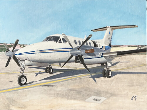 Beechcraft King Air B200 Arnaud Feuga