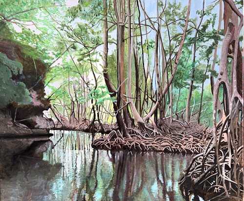 Mangrove en Baie de Samaná de Arnaud Feuga, Pintura a la venta en Singulart