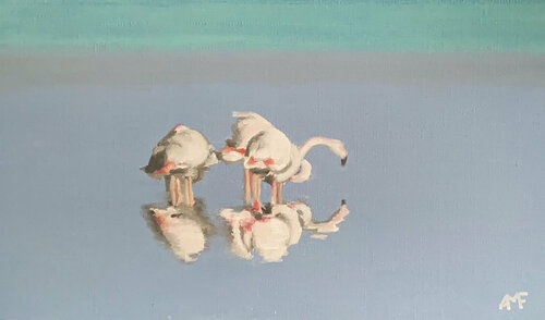 Flamants au repos Arnaud Feuga