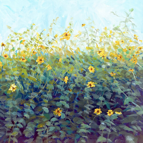 Sunflower Patch von Charles Wallis, Malerei kaufen auf Singulart