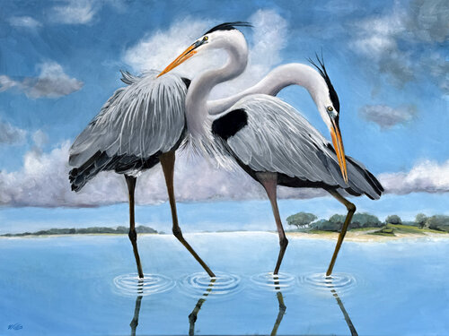Great Blue Herons Mating Season Jousting von Charles Wallis, Malerei kaufen auf Singulart