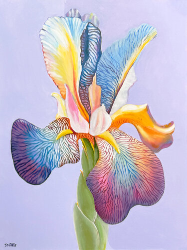 Rainbow Iris von Charles Wallis, Malerei kaufen auf Singulart