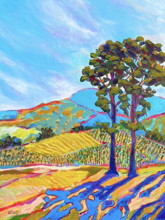 Hill Country Vineyard Charles Wallis