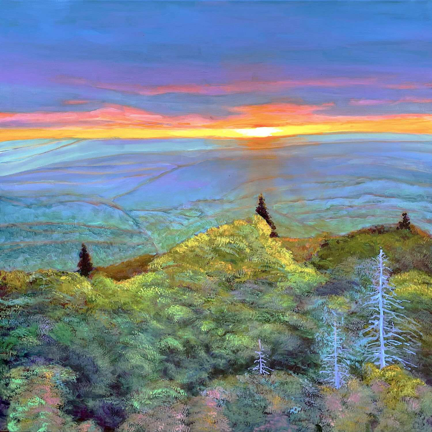 Above It All Charles Wallis