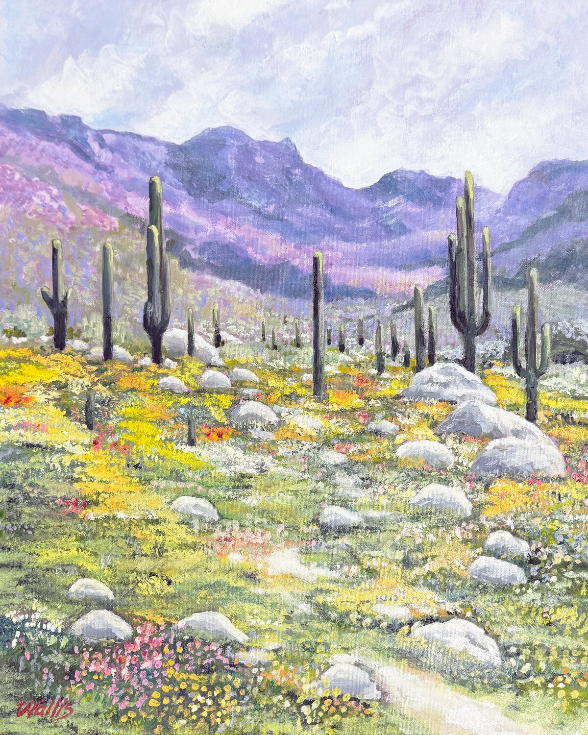 Spring In The Saguro National Forest Charles Wallis