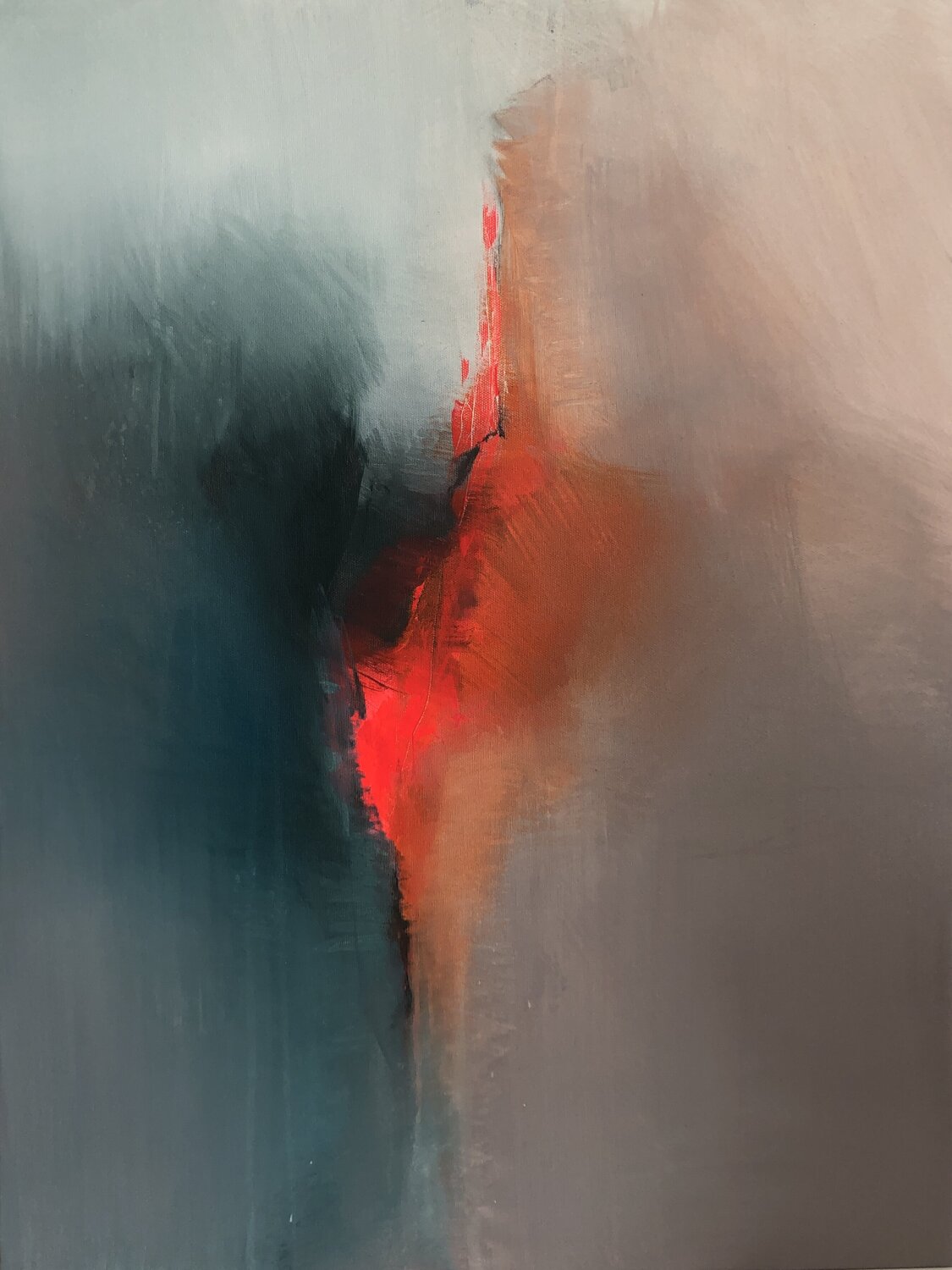 HEMEROCALLIS FULVA Alessandra Marzatico