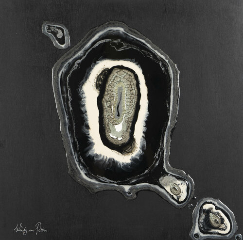 Evolution 1 Wendy van Putten