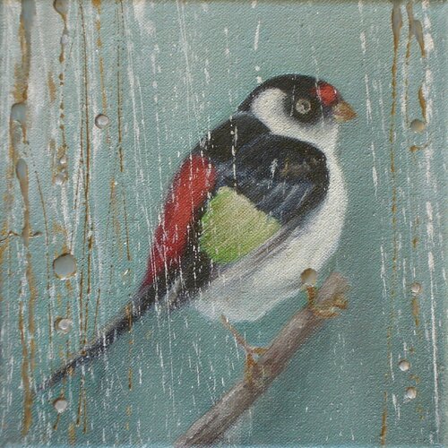 Little bird van Simona Marziani, Schilderij te koop op Singulart