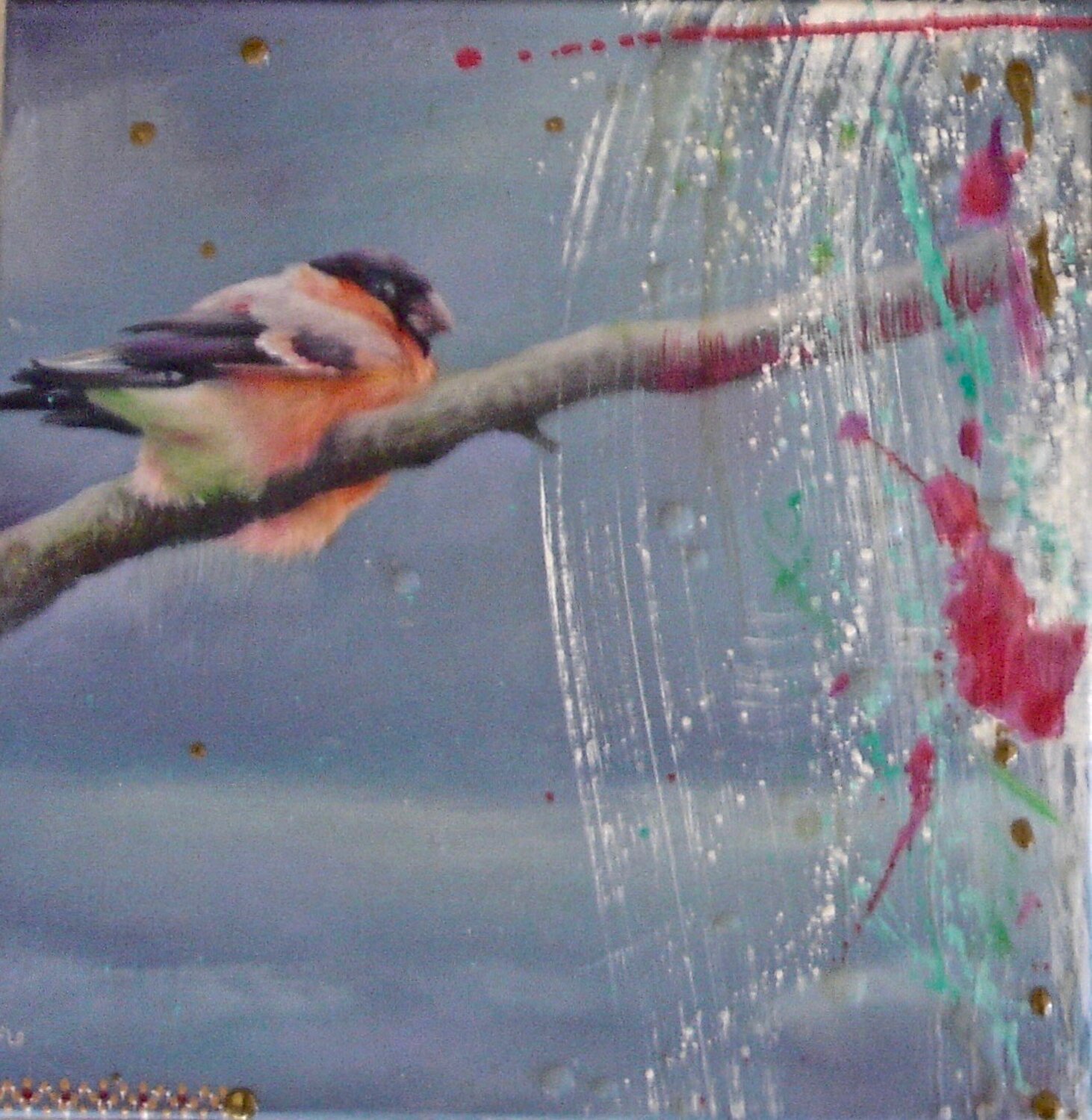 Little bird Simona Marziani