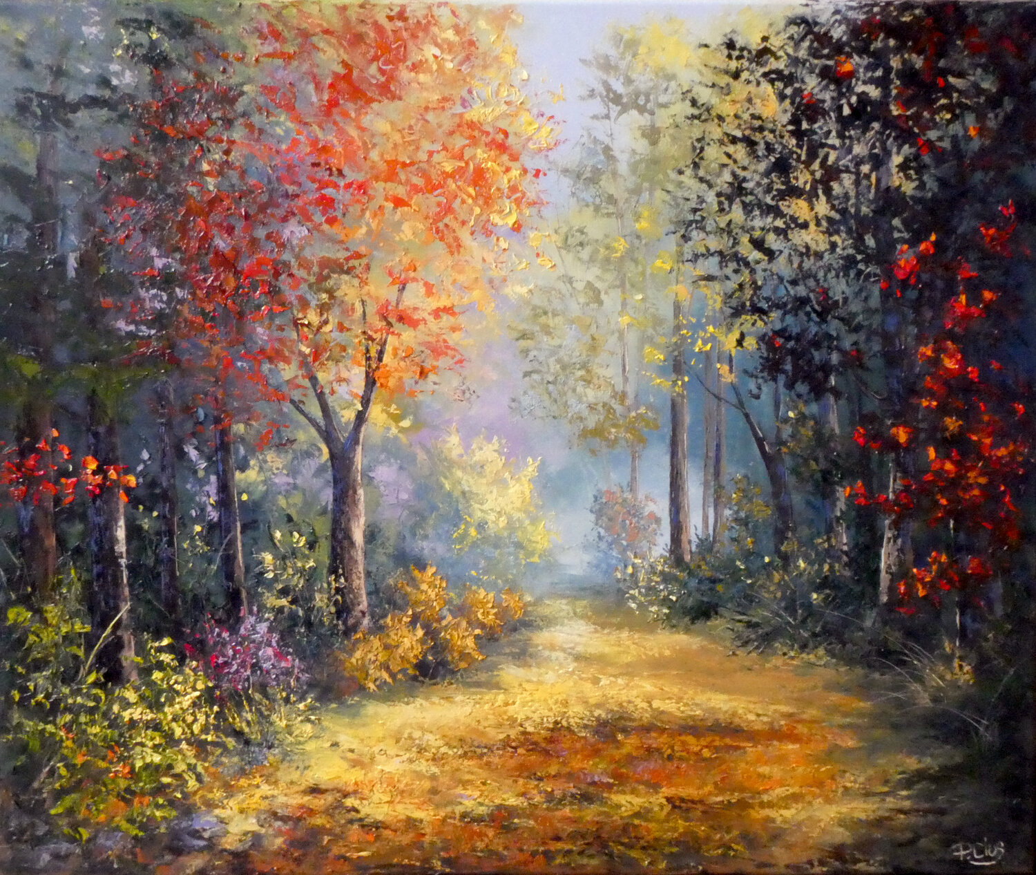 Foret en automne Pascal Clus