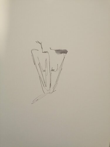 Akt I di Silvia Ingrid Hummer, Disegno in vendita su Singulart