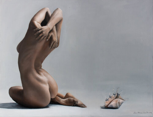 Lambis Truncata Jean-Pierre André Leclercq