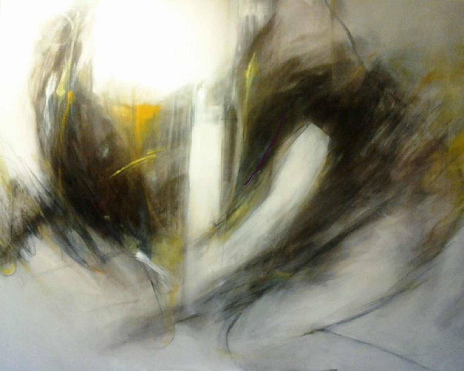 Volo nella luce Patrizia Simonetti