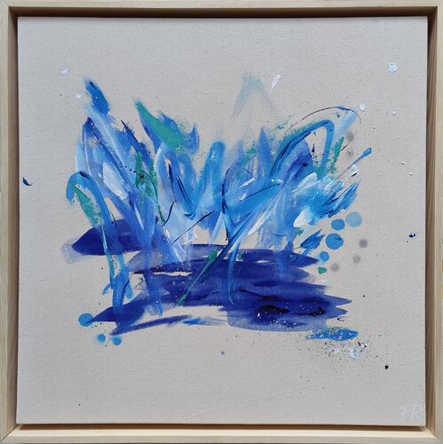 blue linings Franziska Raffaël