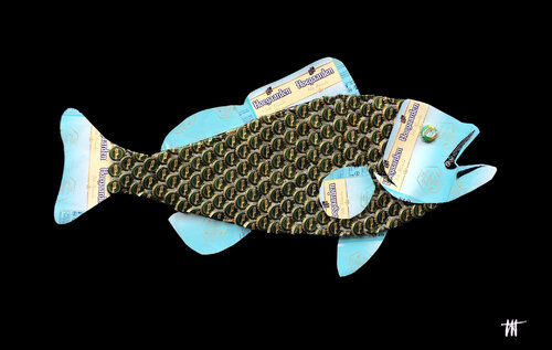 Poisson d'Aguillon / 11 Jean Jacques Venturini