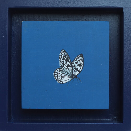 Vielleicht XXV (Schmetterling) Karoline Kroiß