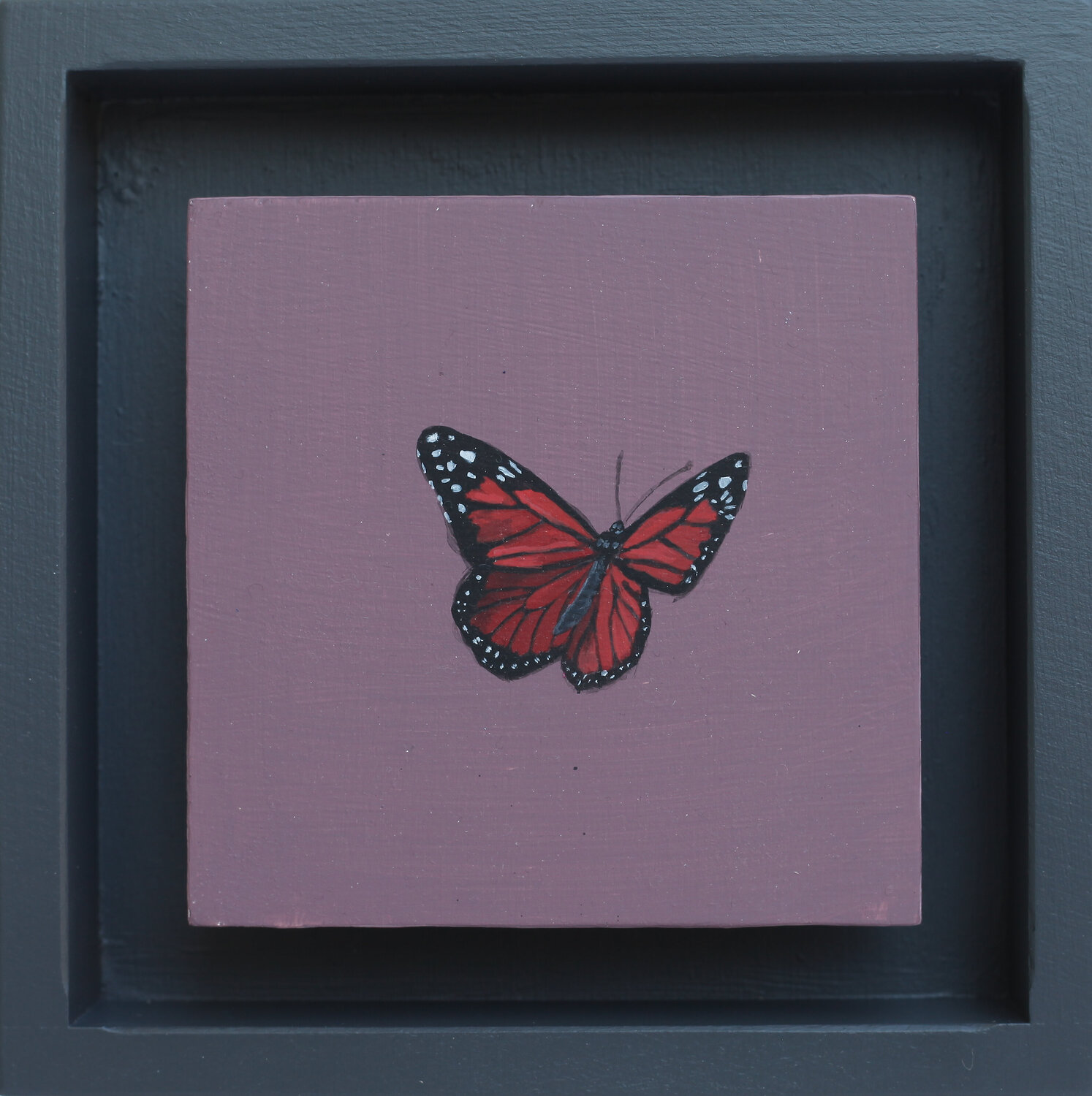 Vielleicht XXVI (Schmetterling) Karoline Kroiß
