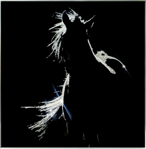 Back light by Roberta Diazzi, Other Media for Sale on Singulart