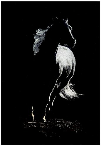 Untamable by Roberta Diazzi, Other Media for Sale on Singulart