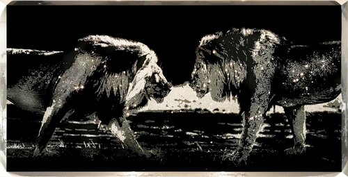 The Clash by Roberta Diazzi, Other Media for Sale on Singulart