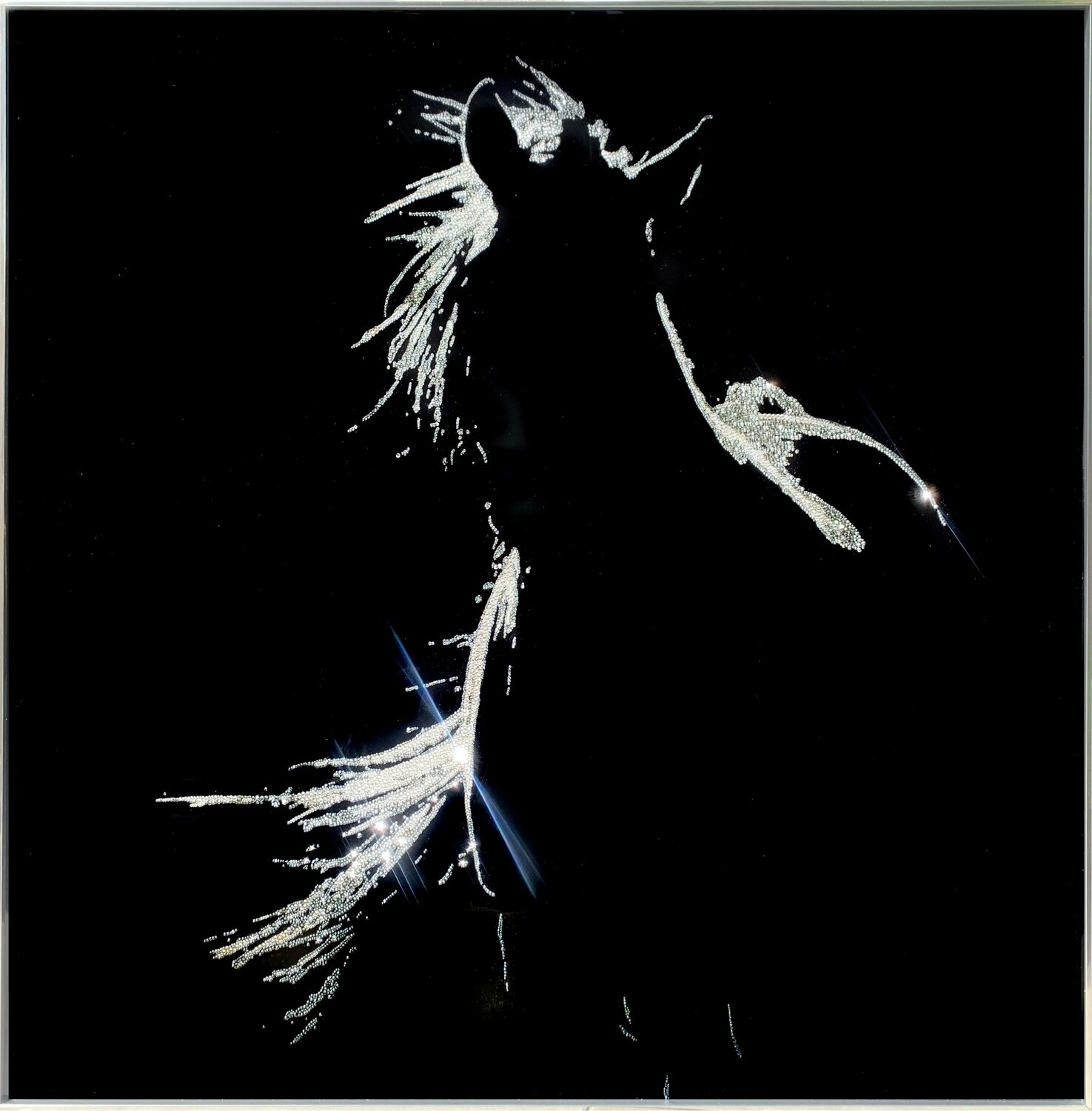 Back light Roberta Diazzi