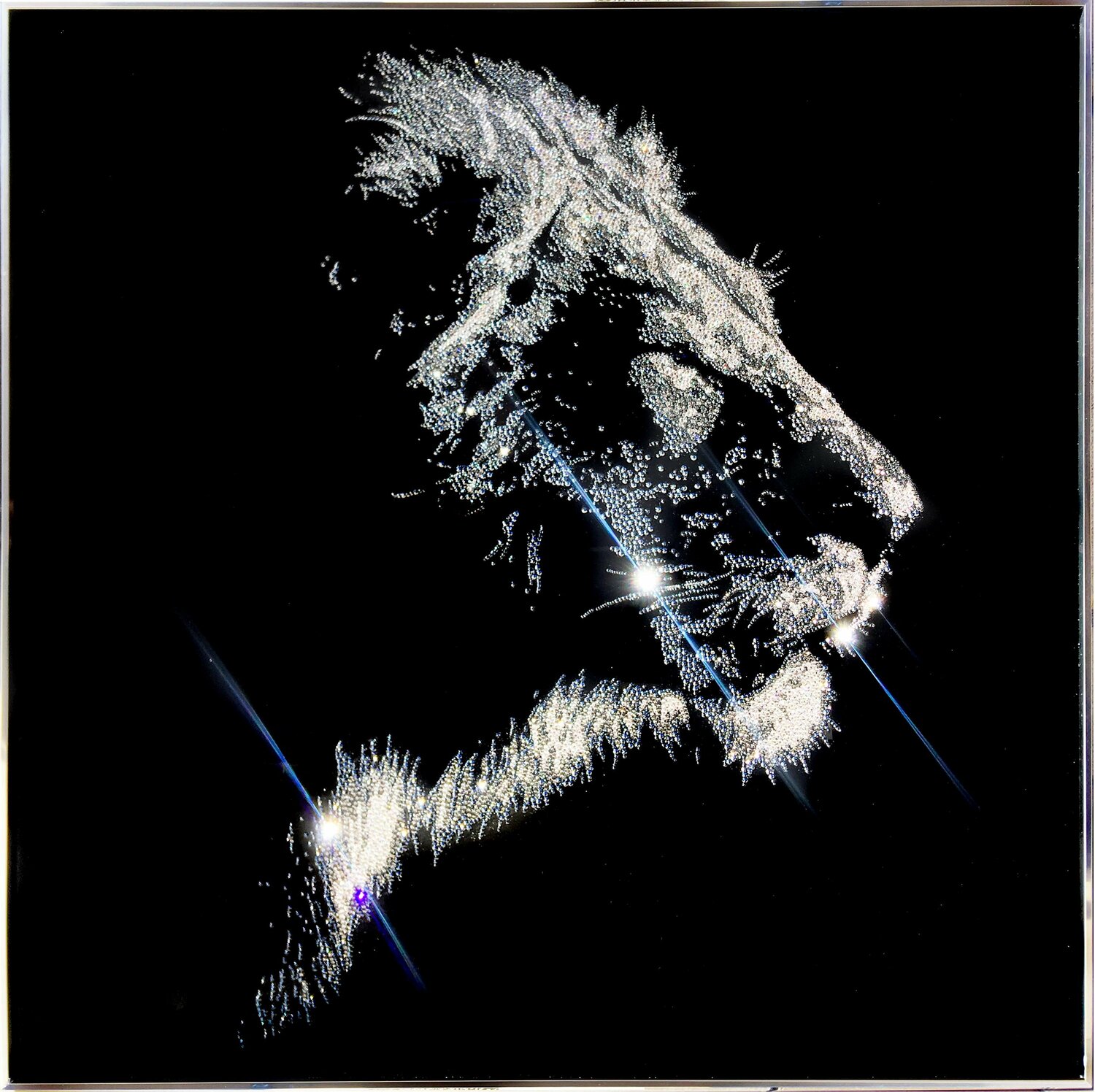 Manes in the wind Roberta Diazzi