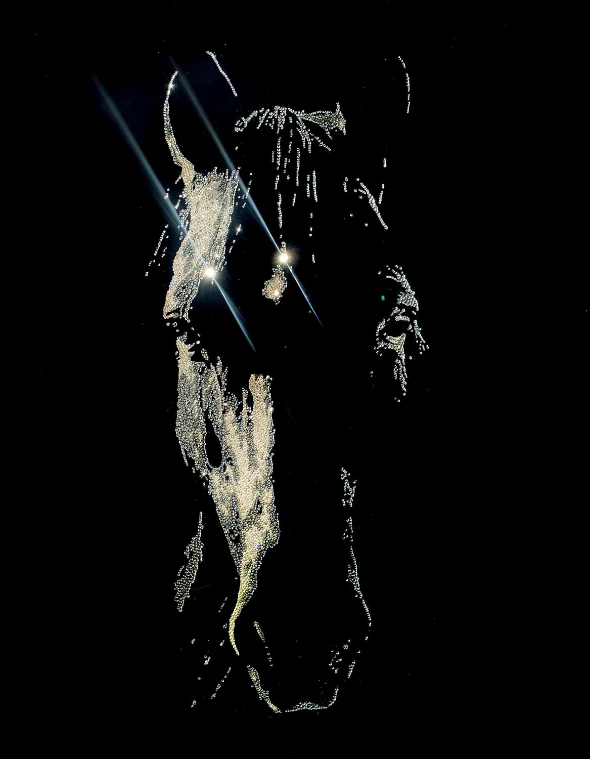 From the Dark Roberta Diazzi