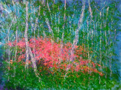 BOSQUE EN FLOR Andrés Rueda