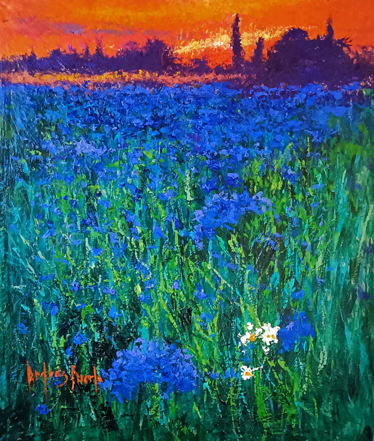 FROM BLUE TO DAWN Andrés Rueda