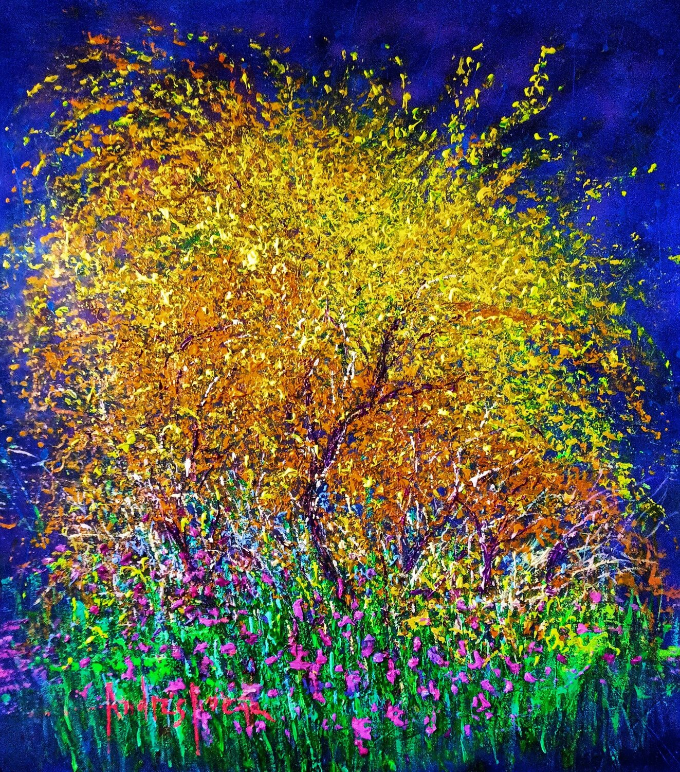 JUNE IN GREDOS Andrés Rueda