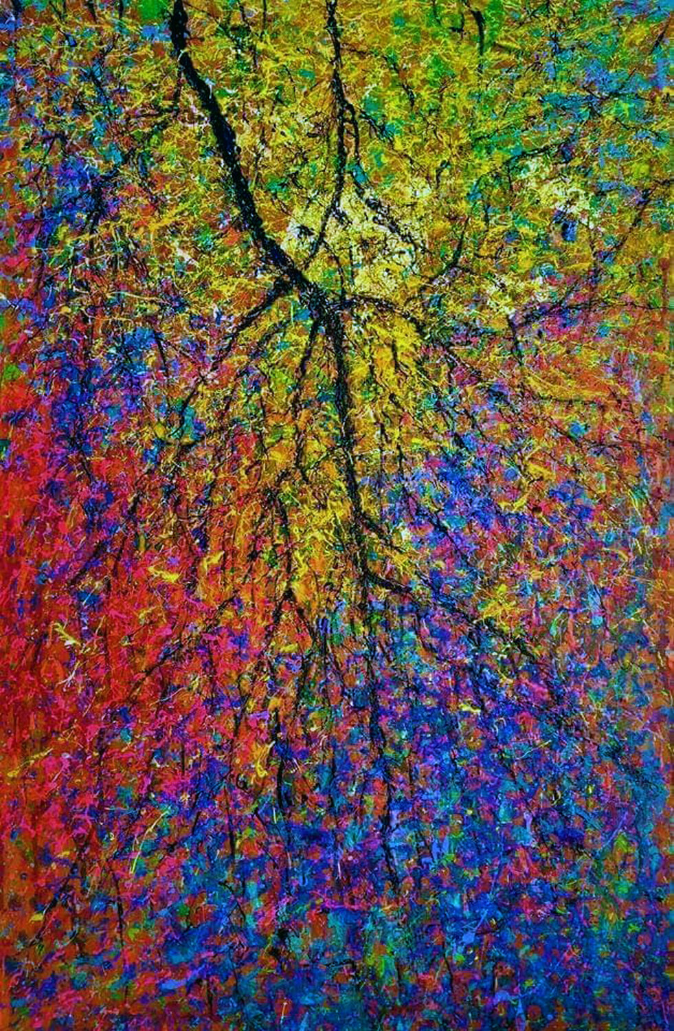 RAMA DE OTOÑO Andrés Rueda